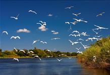 Okavango River Delta
